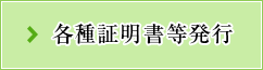 �e��ؖ���